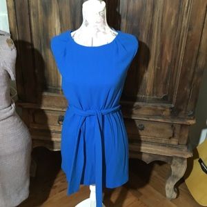 Cute Royal Blue Dress/Shirt